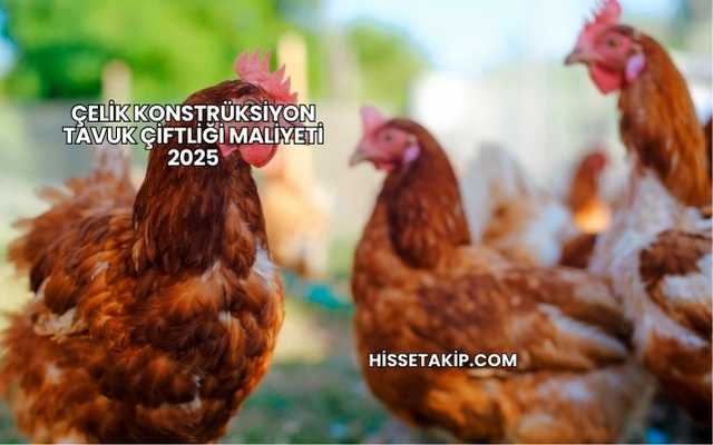 Çelik Konstrüksiyon Tavuk Çiftliği Maliyeti 2025