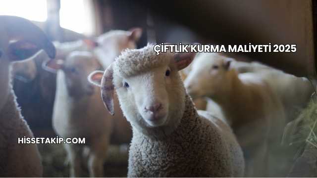 Çiftlik Kurma Maliyeti 2025