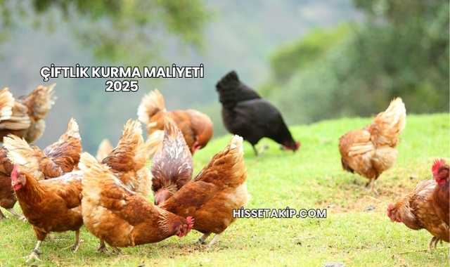 Çiftlik Kurma Maliyeti 2025