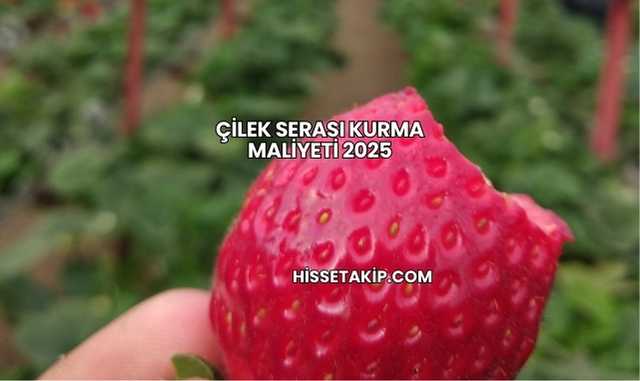 Çilek Serası Kurma Maliyeti 2025