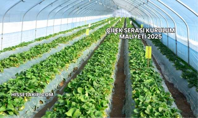 Çilek Serası Kurulum Maliyeti 2025