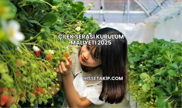Çilek Serası Kurulum Maliyeti 2025