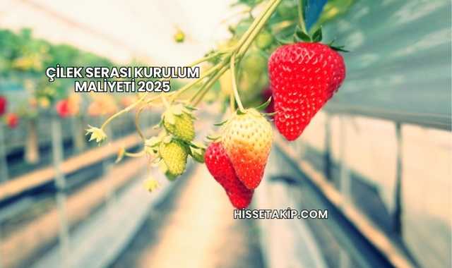 Çilek Serası Kurulum Maliyeti 2025