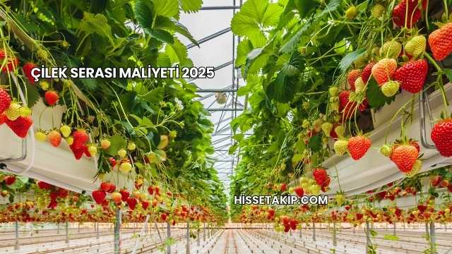Çilek Serası Maliyeti 2025