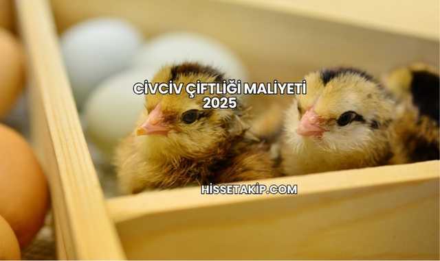Civciv Çiftliği Maliyeti 2025