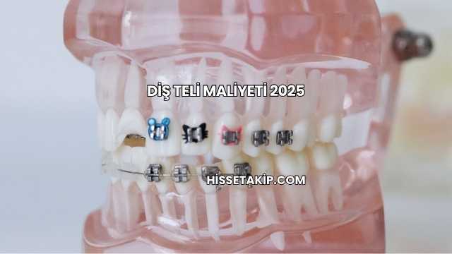 Diş Teli Maliyeti 2025