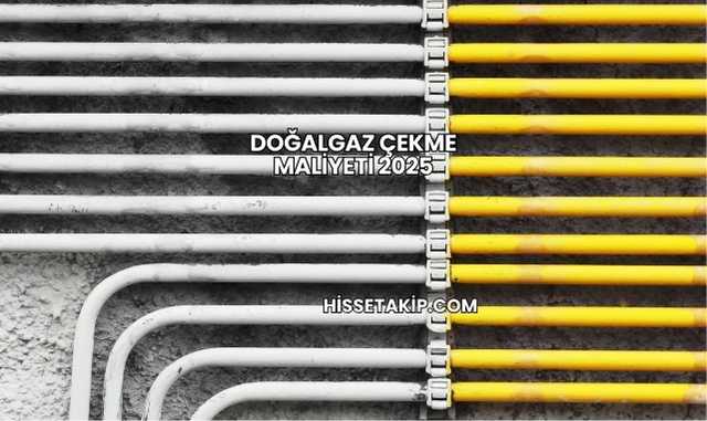 Doğalgaz Çekme Maliyeti 2025