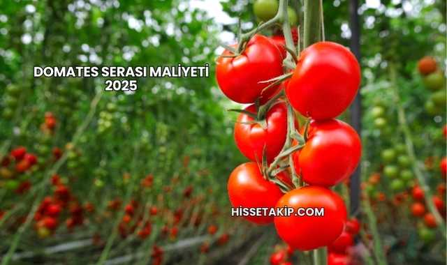 Domates Serası Maliyeti 2025