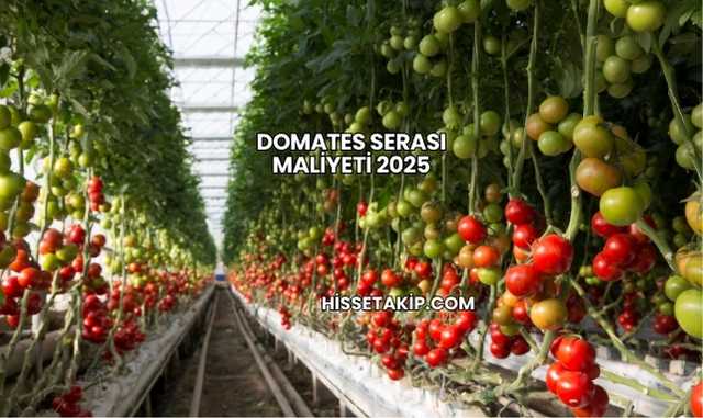 Domates Serası Maliyeti 2025