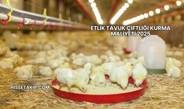 Etlik Tavuk Çiftliği Kurma Maliyeti 2025