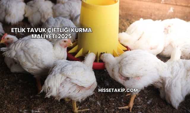 Etlik Tavuk Çiftliği Kurma Maliyeti 2025