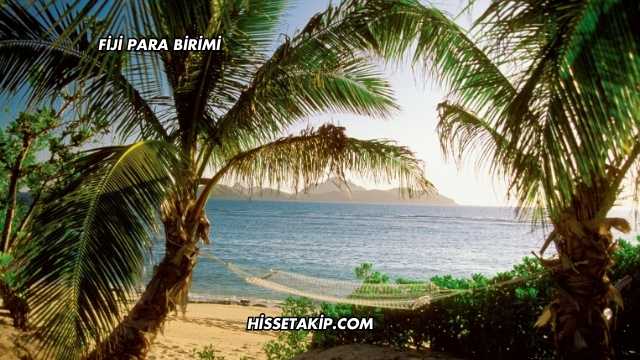 Fiji Para Birimi