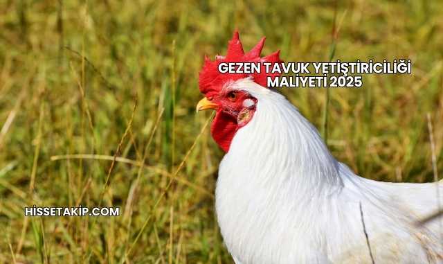 Gezen Tavuk Yetiştiriciliği Maliyeti 2025