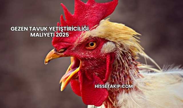 Gezen Tavuk Yetiştiriciliği Maliyeti 2025