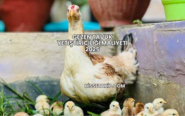 Gezen Tavuk Yetiştiriciliği Maliyeti 2025