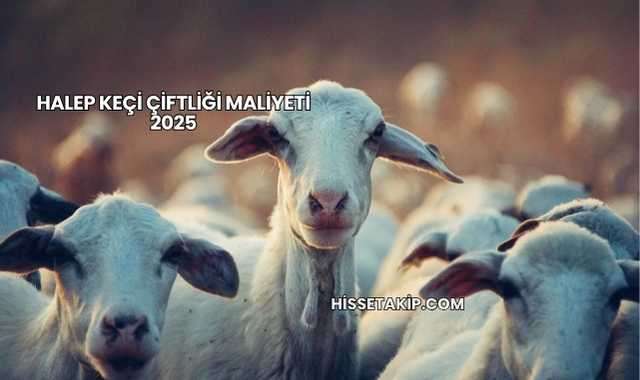 Halep Keçi Çiftliği Maliyeti 2025