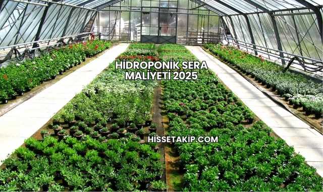 Hidroponik Sera Maliyeti 2025