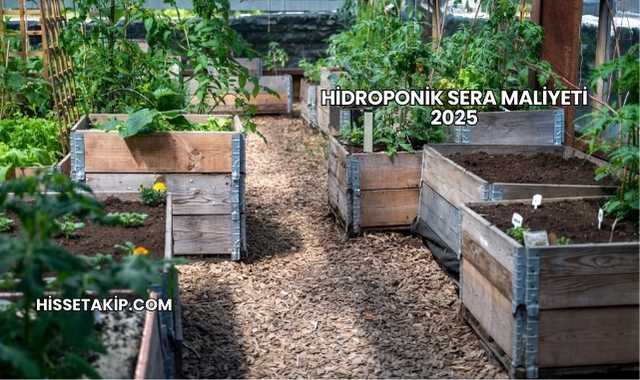 Hidroponik Sera Maliyeti 2025