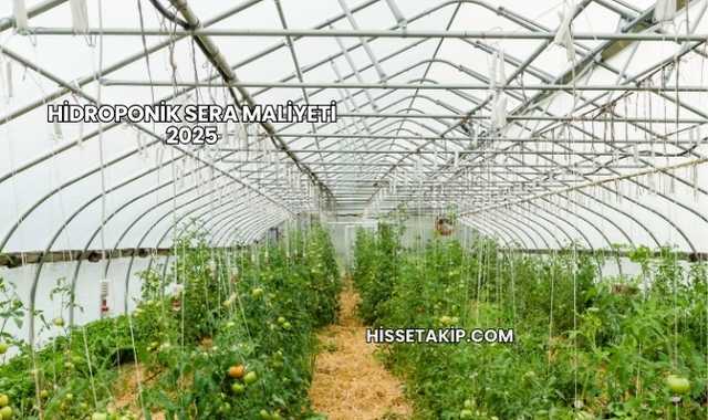 Hidroponik Sera Maliyeti 2025