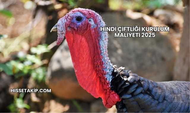 Hindi Çiftliği Kurulum Maliyeti 2025