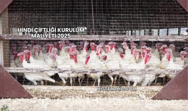 Hindi Çiftliği Kurulum Maliyeti 2025