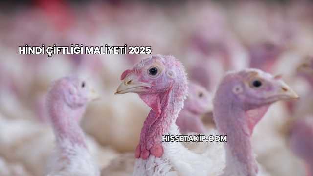 Hindi Çiftliği Maliyeti 2025