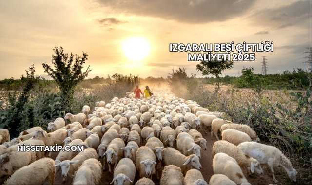 Izgaralı Besi Çiftliği Maliyeti 2025