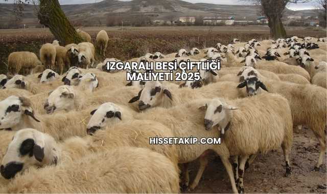 Izgaralı Besi Çiftliği Maliyeti 2025
