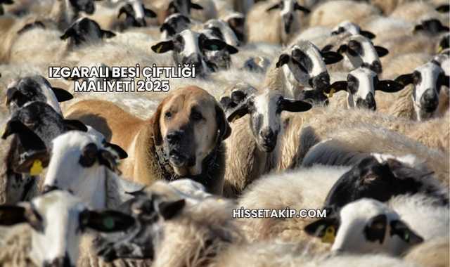 Izgaralı Besi Çiftliği Maliyeti 2025