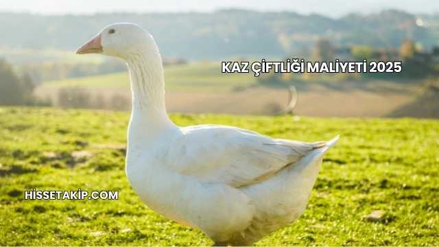 Kaz Çiftliği Maliyeti 2025