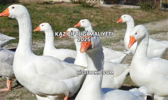 Kaz Çiftliği Maliyeti 2025