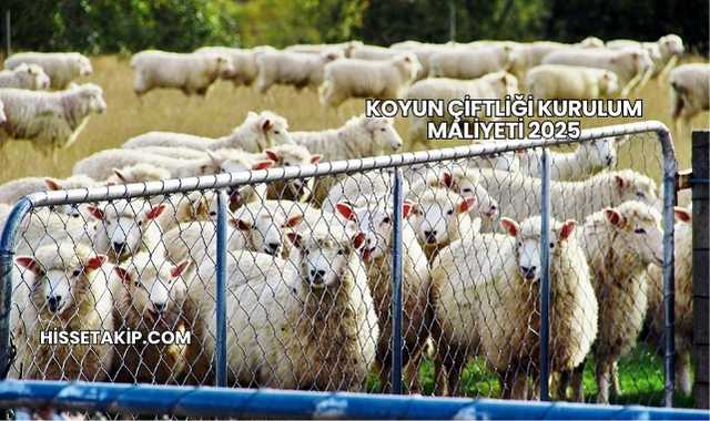 Koyun Çiftliği Kurulum Maliyeti 2025