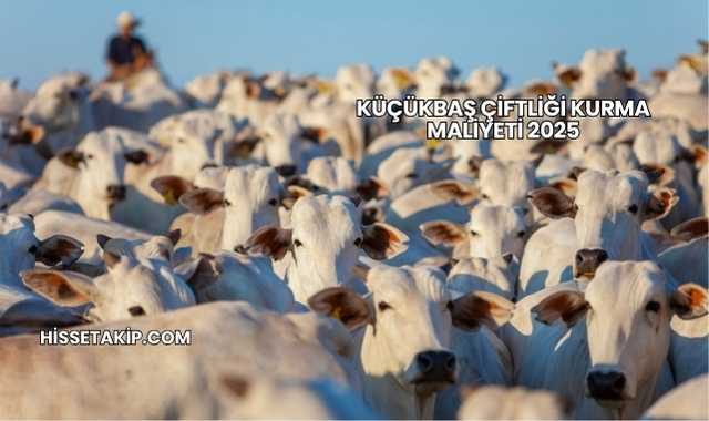 Küçükbaş Çiftliği Kurma Maliyeti 2025