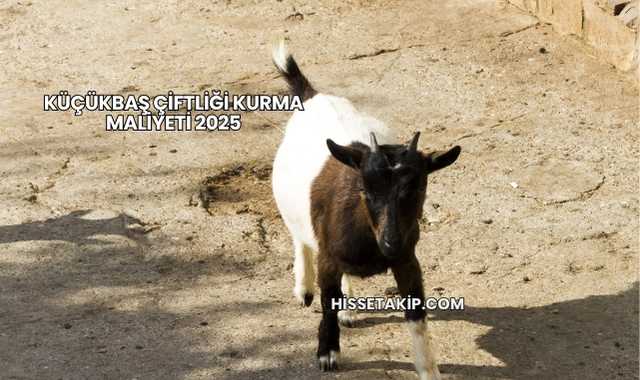 Küçükbaş Çiftliği Kurma Maliyeti 2025