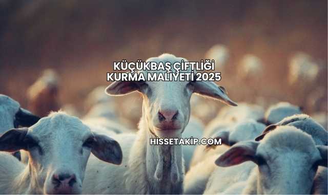 Küçükbaş Çiftliği Kurma Maliyeti 2025