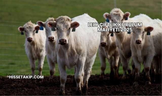 Lely Çiftlik Kurulum Maliyeti 2025