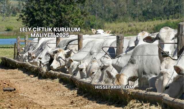 Lely Çiftlik Kurulum Maliyeti 2025