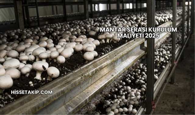 Mantar Serası Kurulum Maliyeti 2025