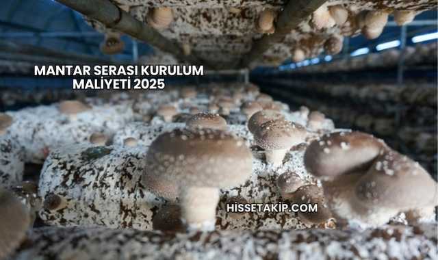 Mantar Serası Kurulum Maliyeti 2025