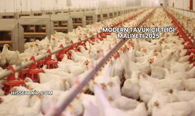Modern Tavuk Çiftliği Maliyeti 2025