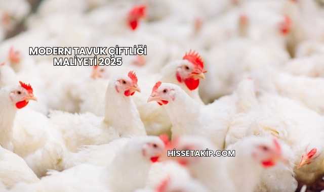 Modern Tavuk Çiftliği Maliyeti 2025