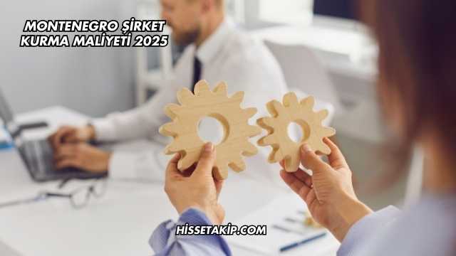 Montenegro Şirket Kurma Maliyeti 2025