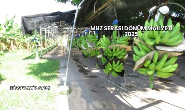 Muz Serası Dönüm Maliyeti 2025