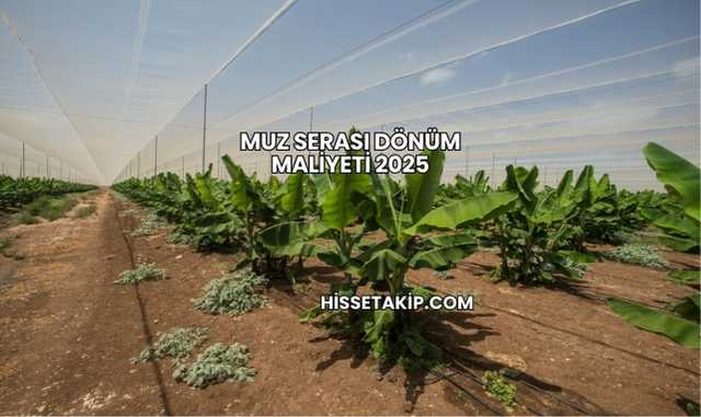 Muz Serası Dönüm Maliyeti 2025