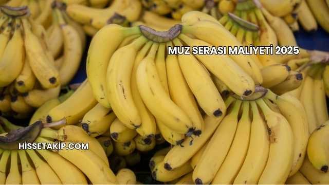 Muz Serası Maliyeti 2025