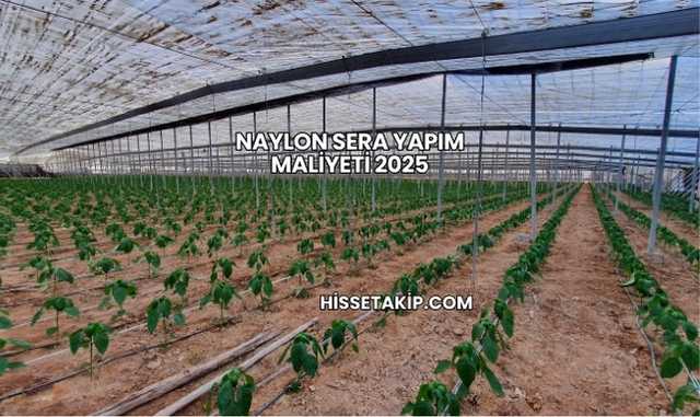 Naylon Sera Yapım Maliyeti 2025
