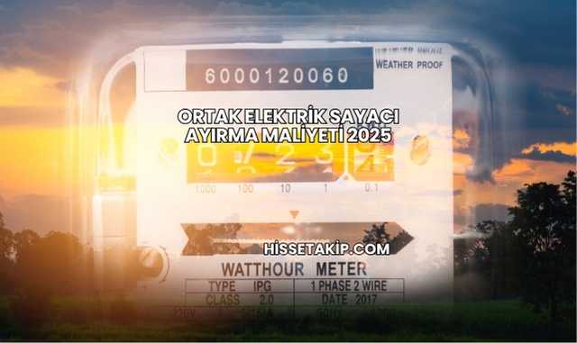 Ortak Elektrik Sayacı Ayırma Maliyeti 2025
