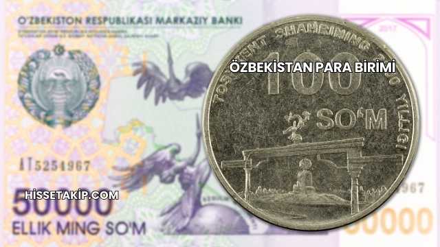 Özbekistan Para Birimi