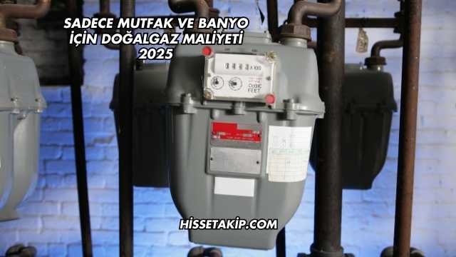 Sadece Mutfak ve Banyo İçin Doğalgaz Maliyeti 2025