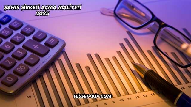 Şahıs Şirketi Açma Maliyeti 2025
